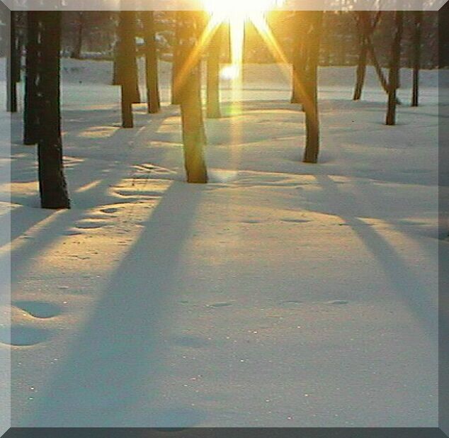 снег блистит и солнце сходит зимним утром