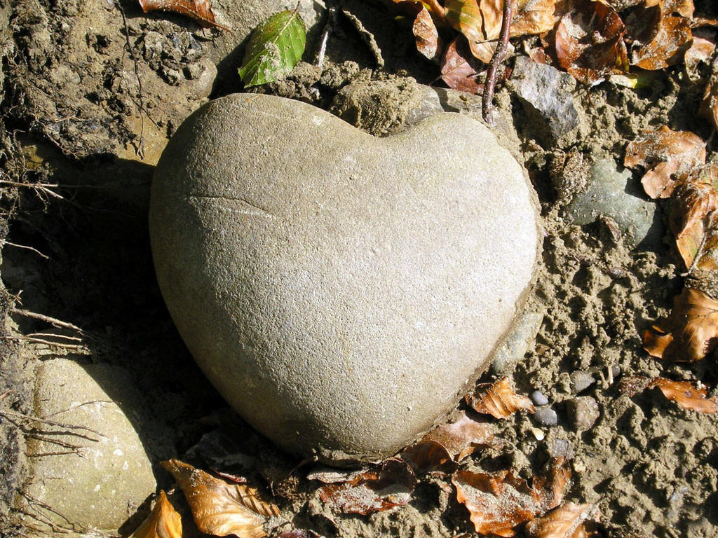 каменное сердце