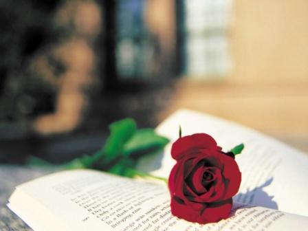 поэзия и роза