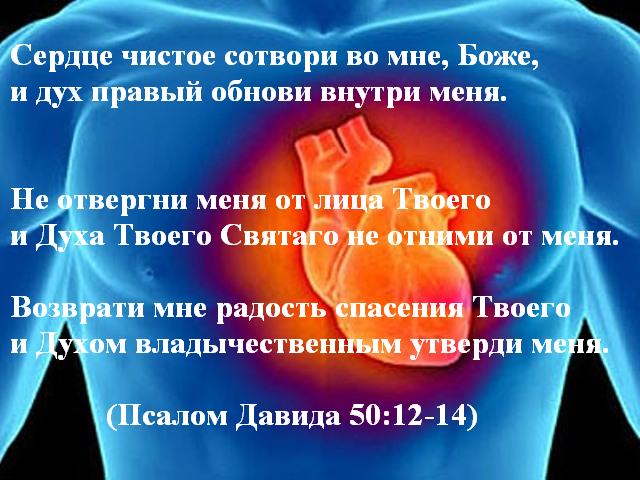 Сердце чистое сотвори во мне, Боже, и дух правый обнови внутри меня.Не отвергни меня от лица Твоего и Духа Твоего Святаго не отними от меня. Возврати мне радость спасения Твоего и Духом владычественным утверди меня.
